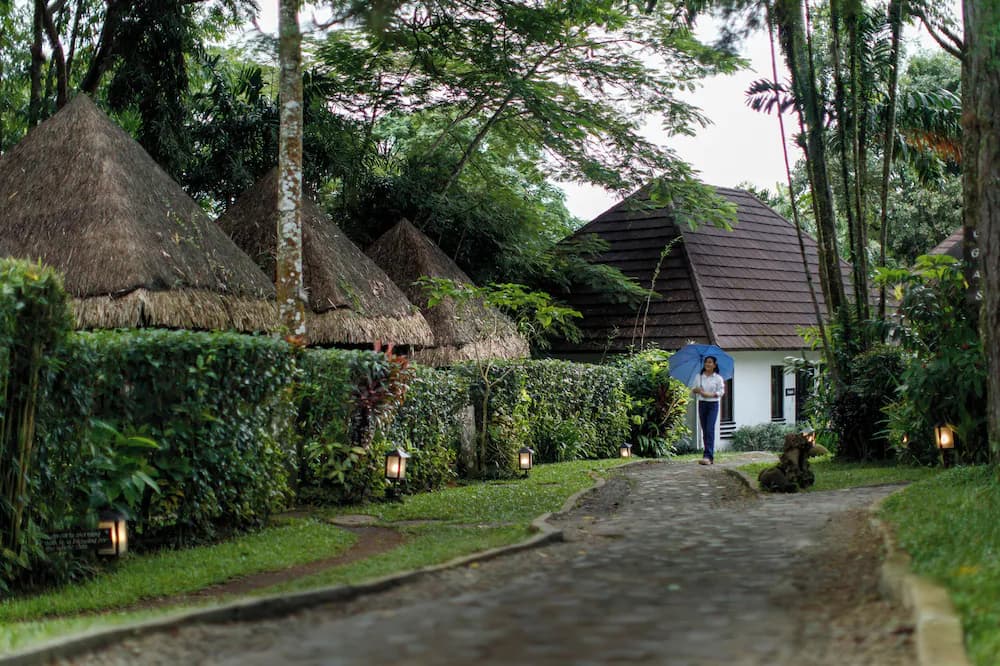 Garden view