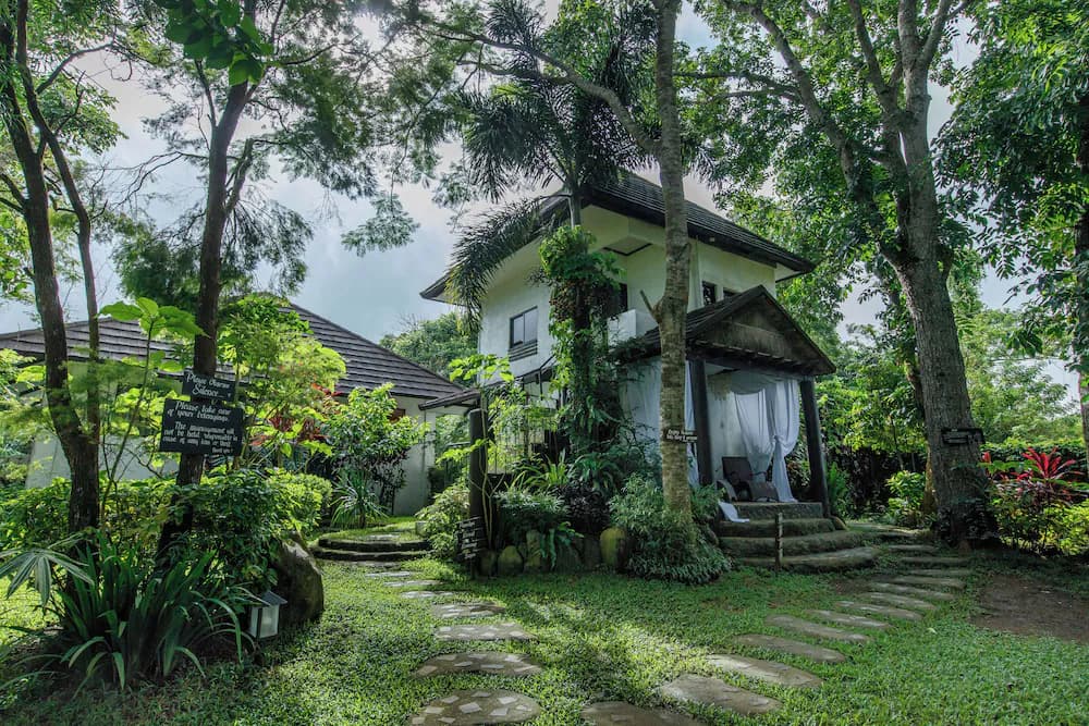 Garden view