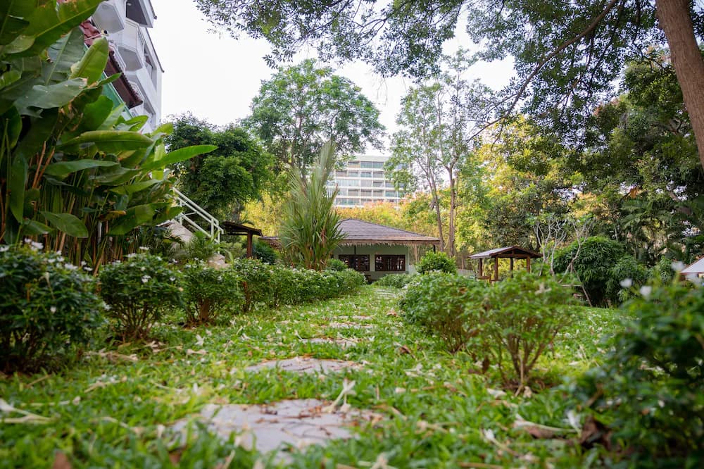Garden view