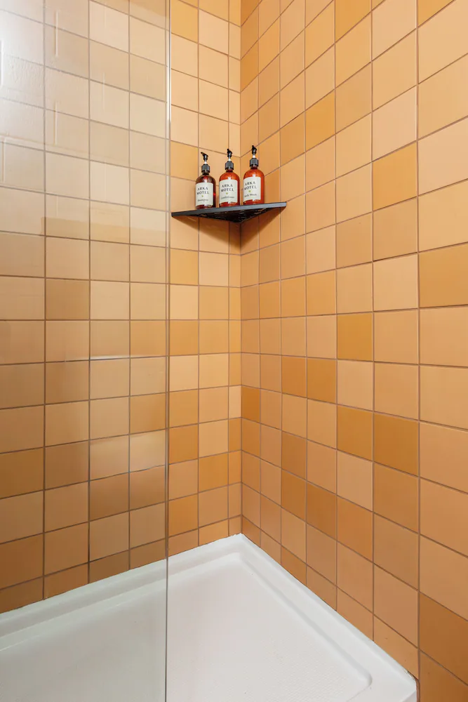 Bathroom shower