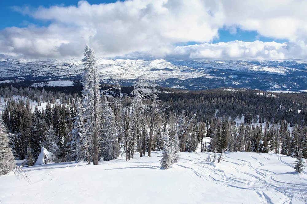 Snow and ski sports