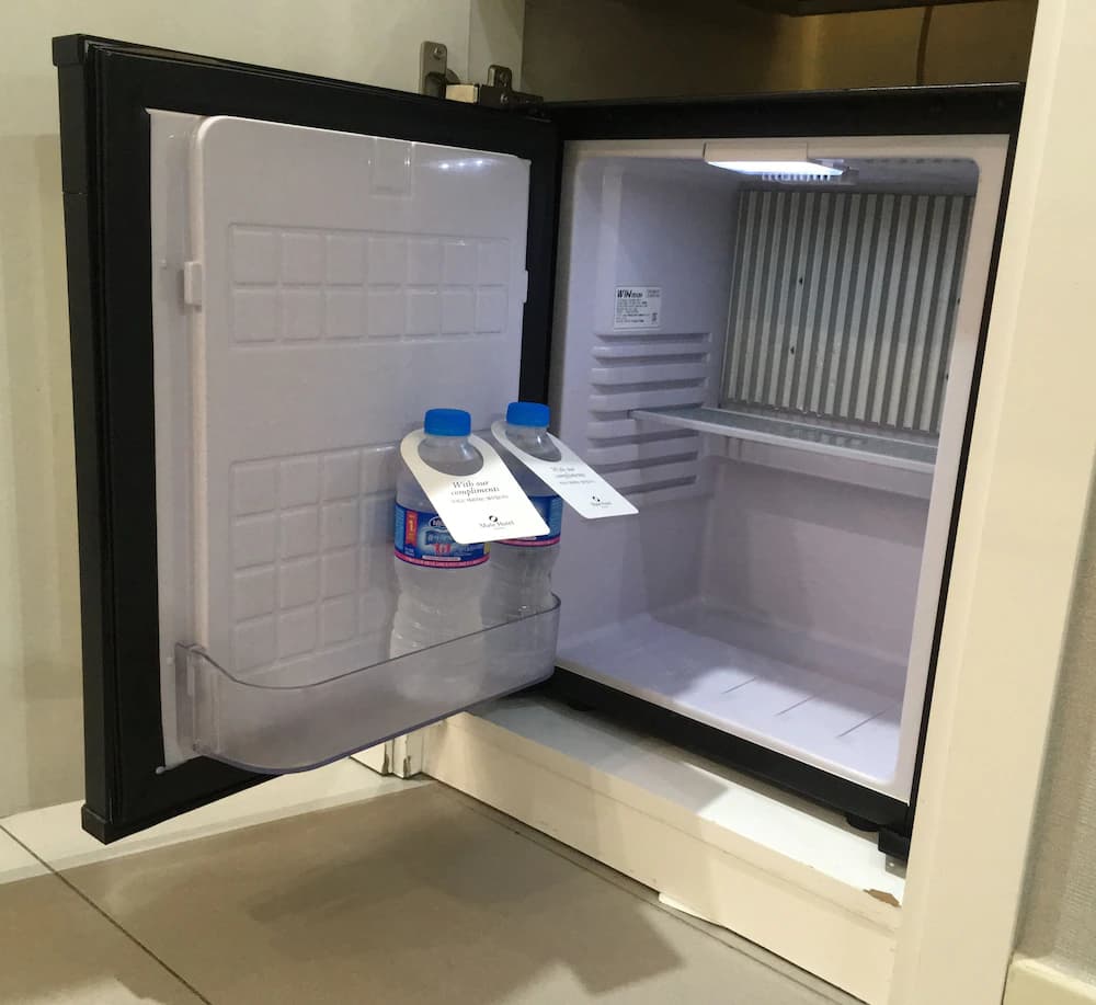 Mini-refrigerator