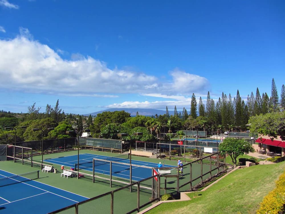 Sport court