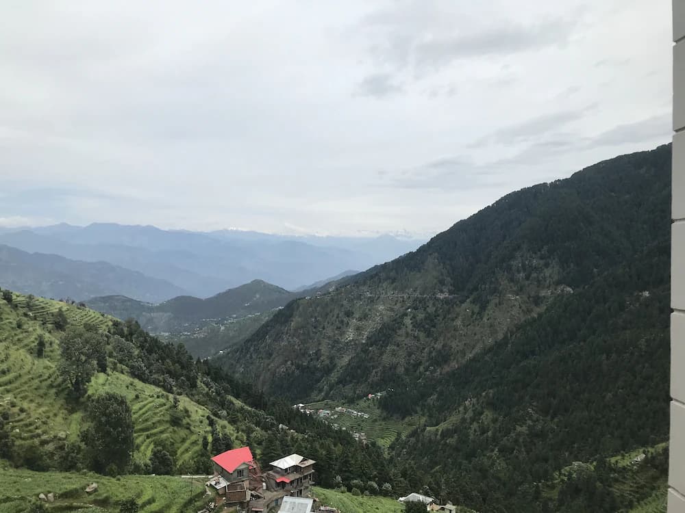 View from room