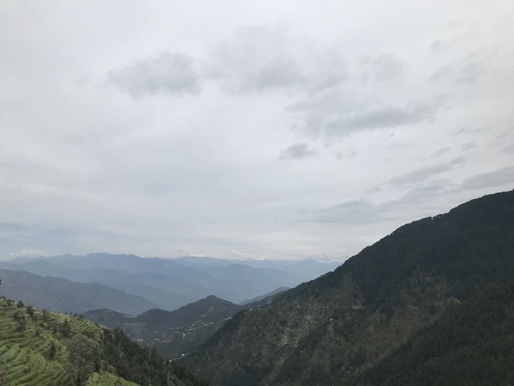 View from room