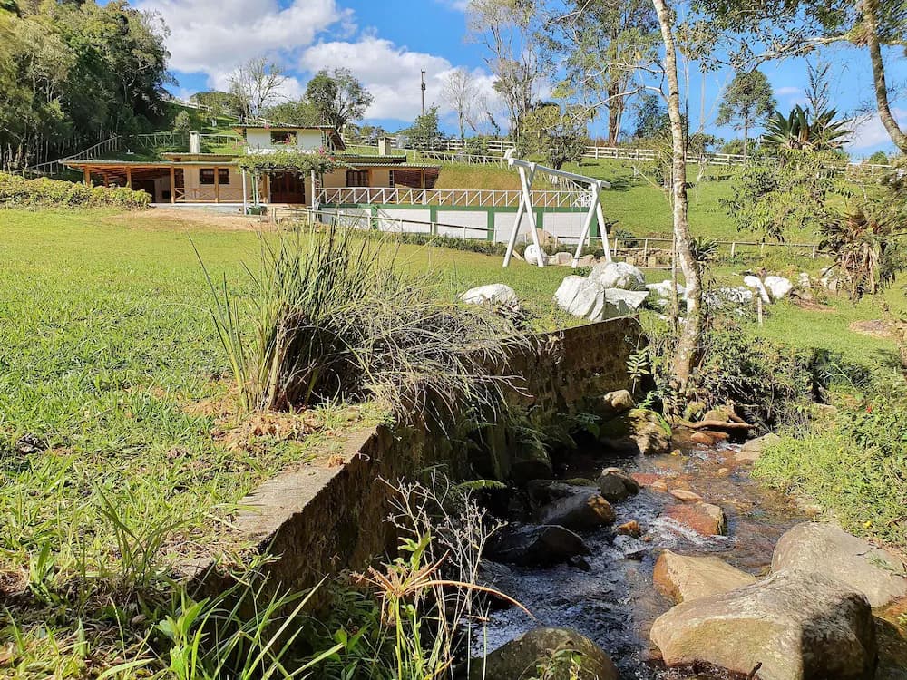 Lake view