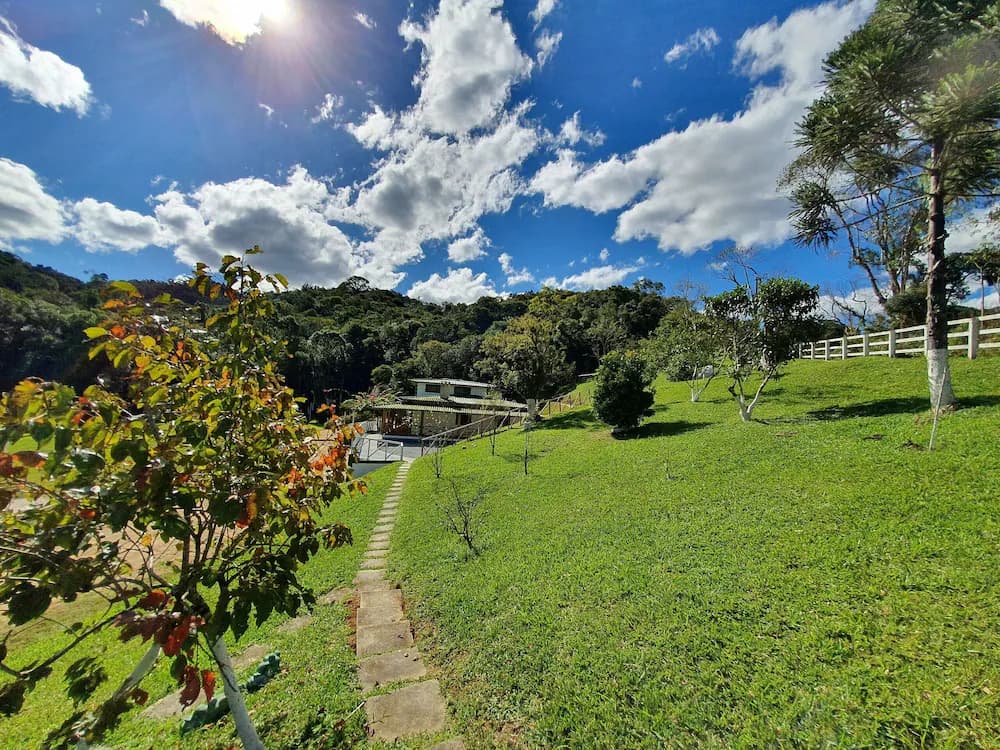 Garden view