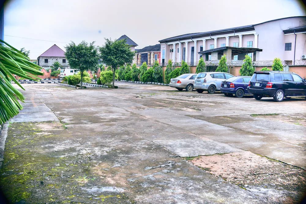 Park view