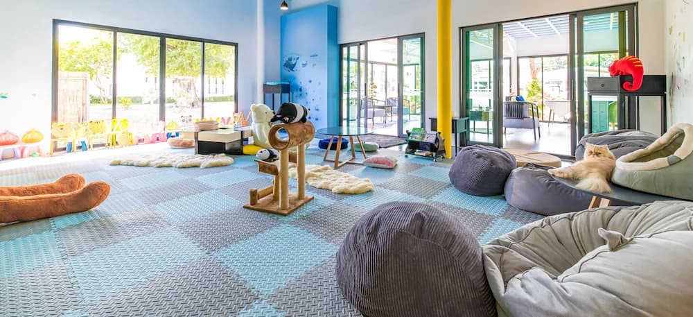 Children's play area - indoor