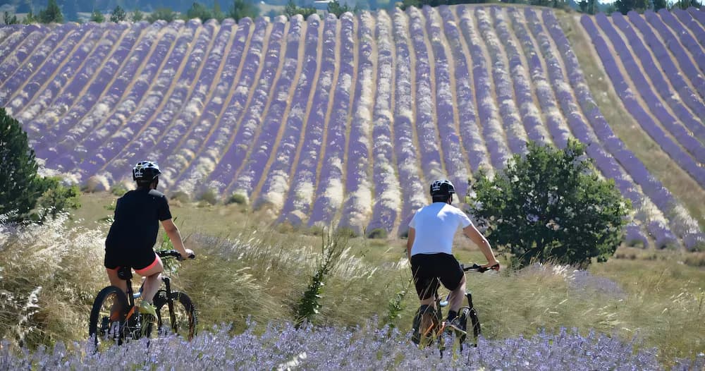 Bicycling