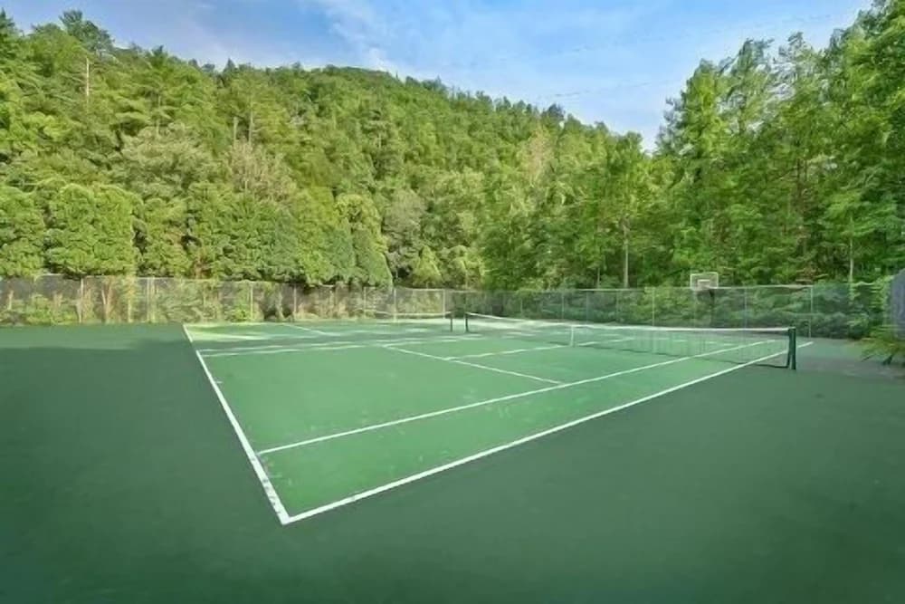 Tennis court