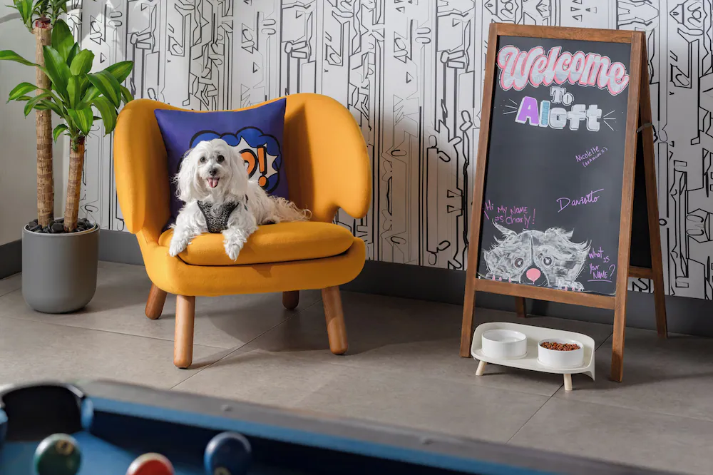Pet-friendly