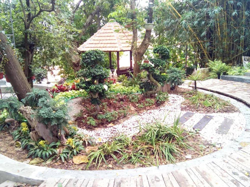 Land view from property