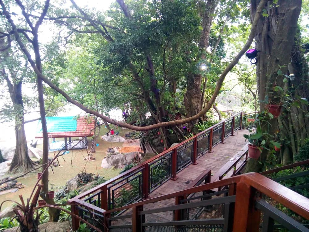Land view from property