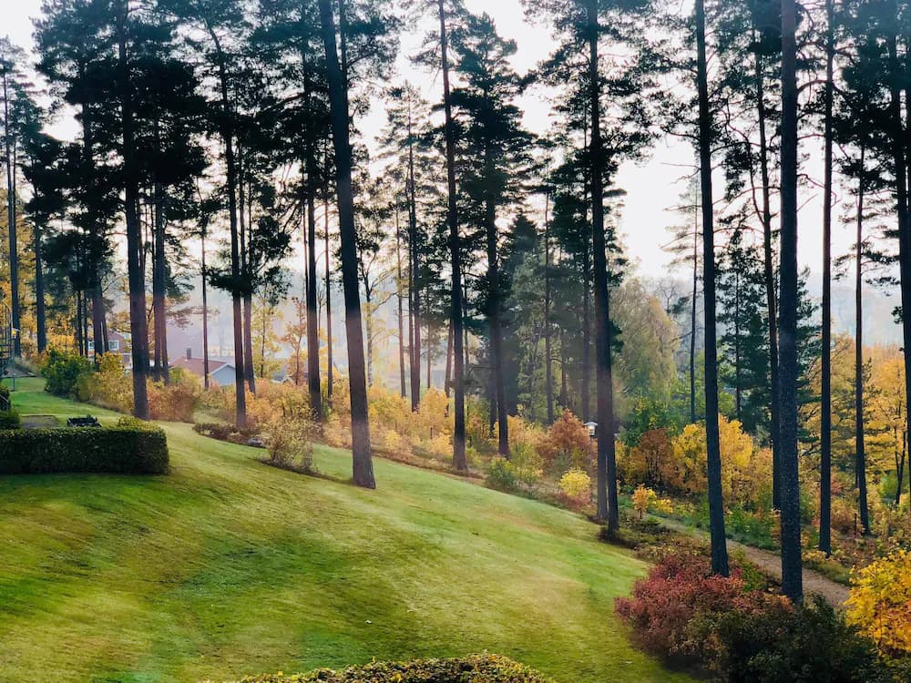 Garden view