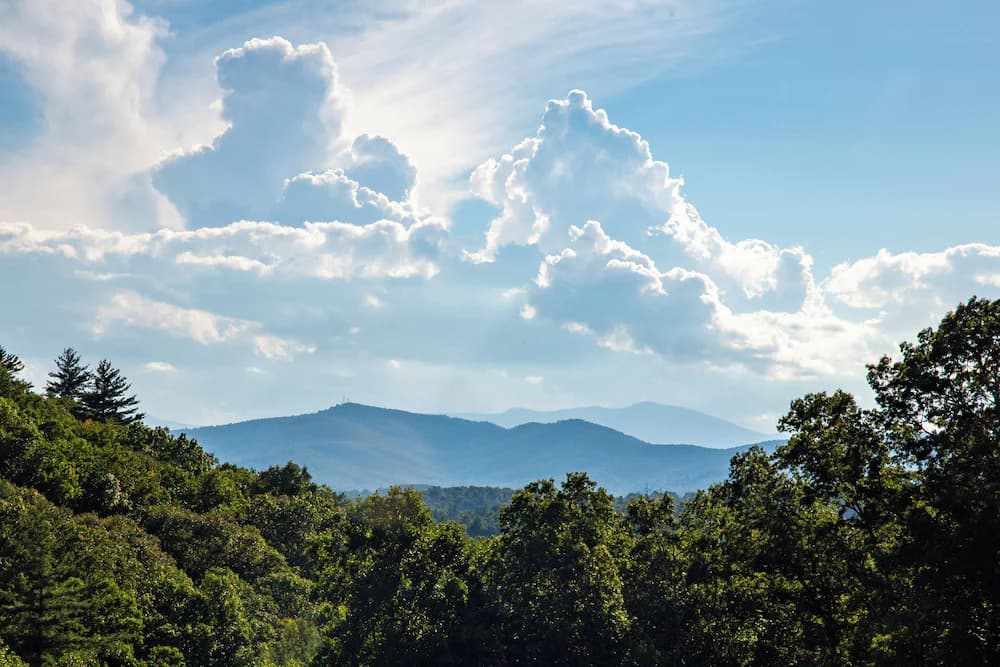 View from property