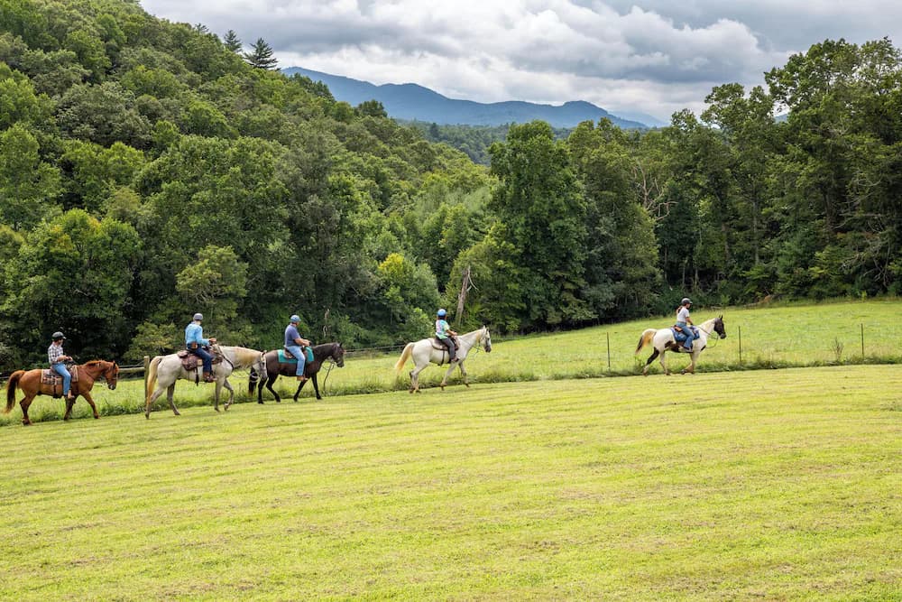 Horseback riding
