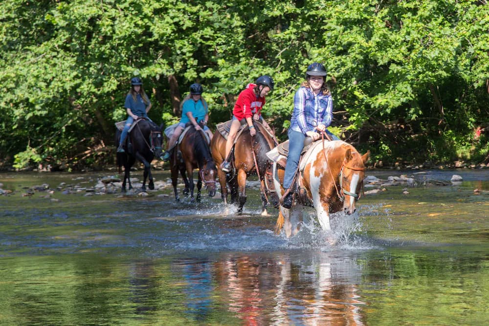 Horseback riding