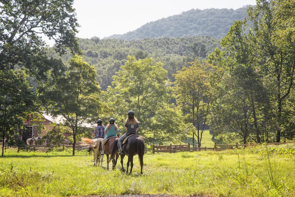 Horseback riding