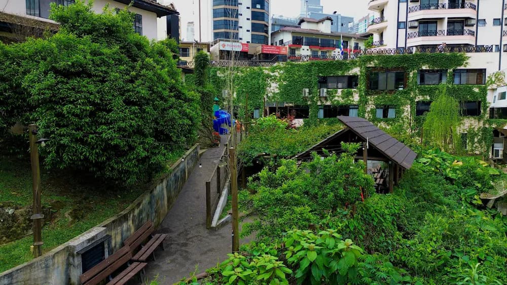 Garden