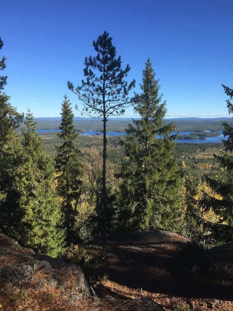 Hiking