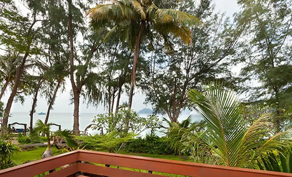 View from room