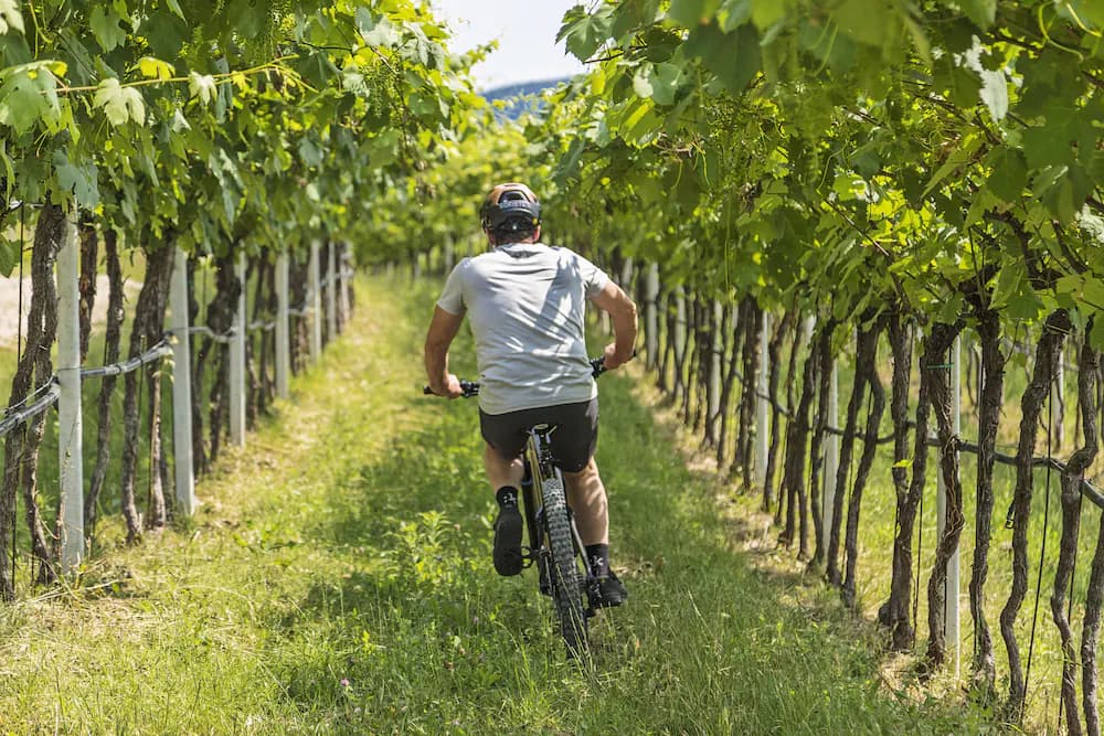 Bicycling