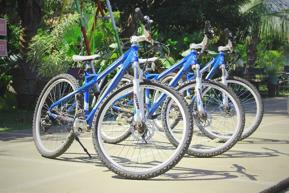Bicycling