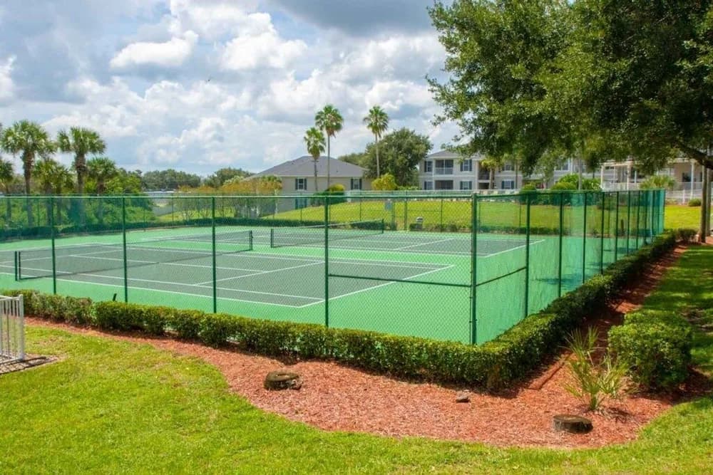 Sport court