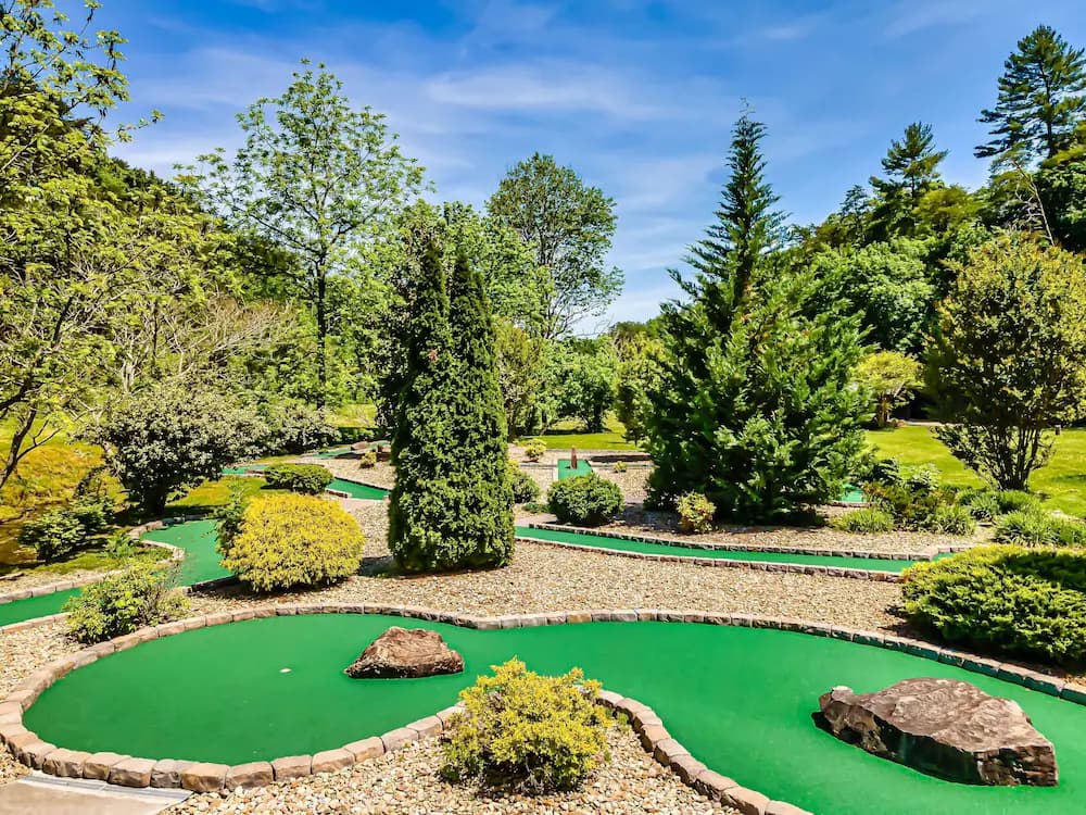 Mini-golf