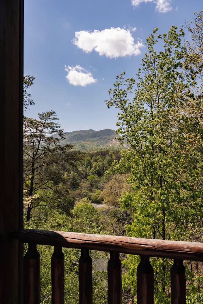 View from room