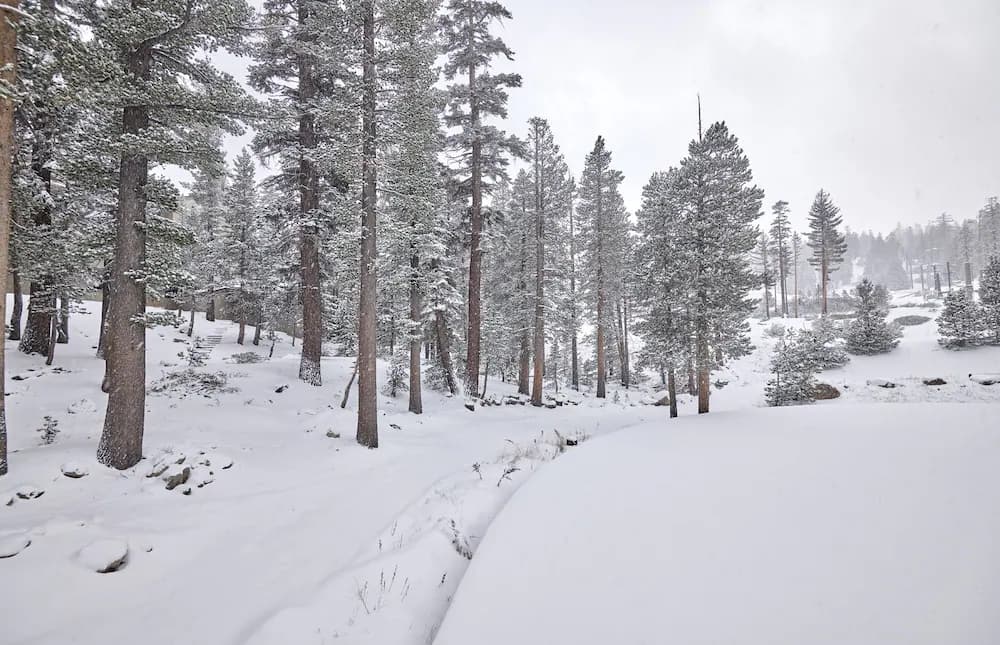 Snow and ski sports