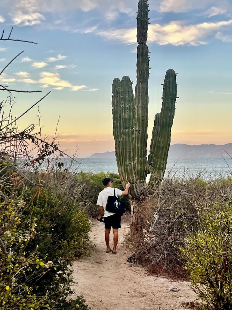 Hiking