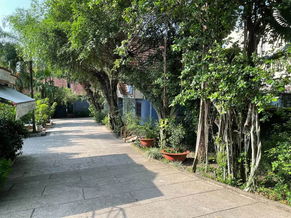 Garden