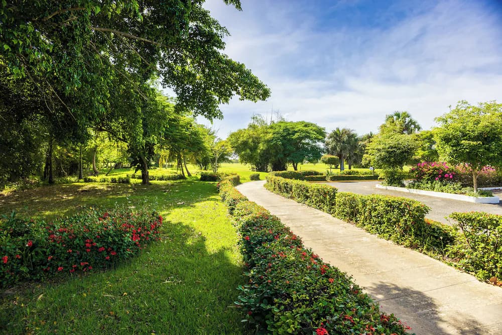 Garden