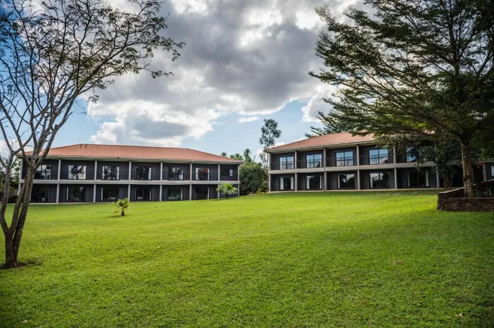Primary image