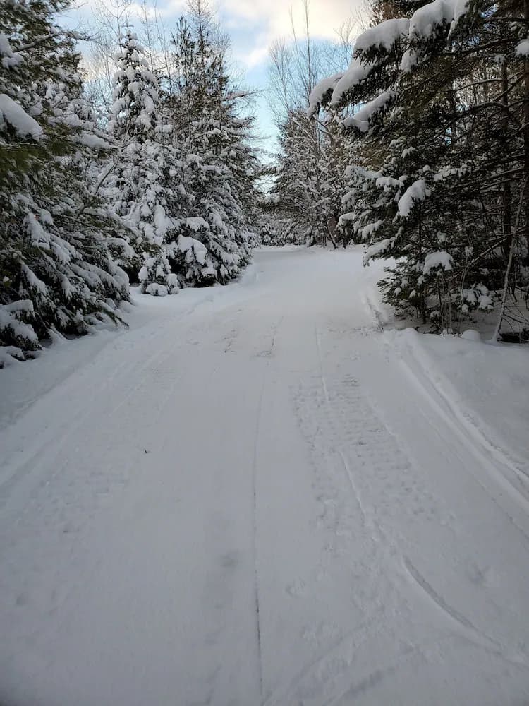 Snowmobiling