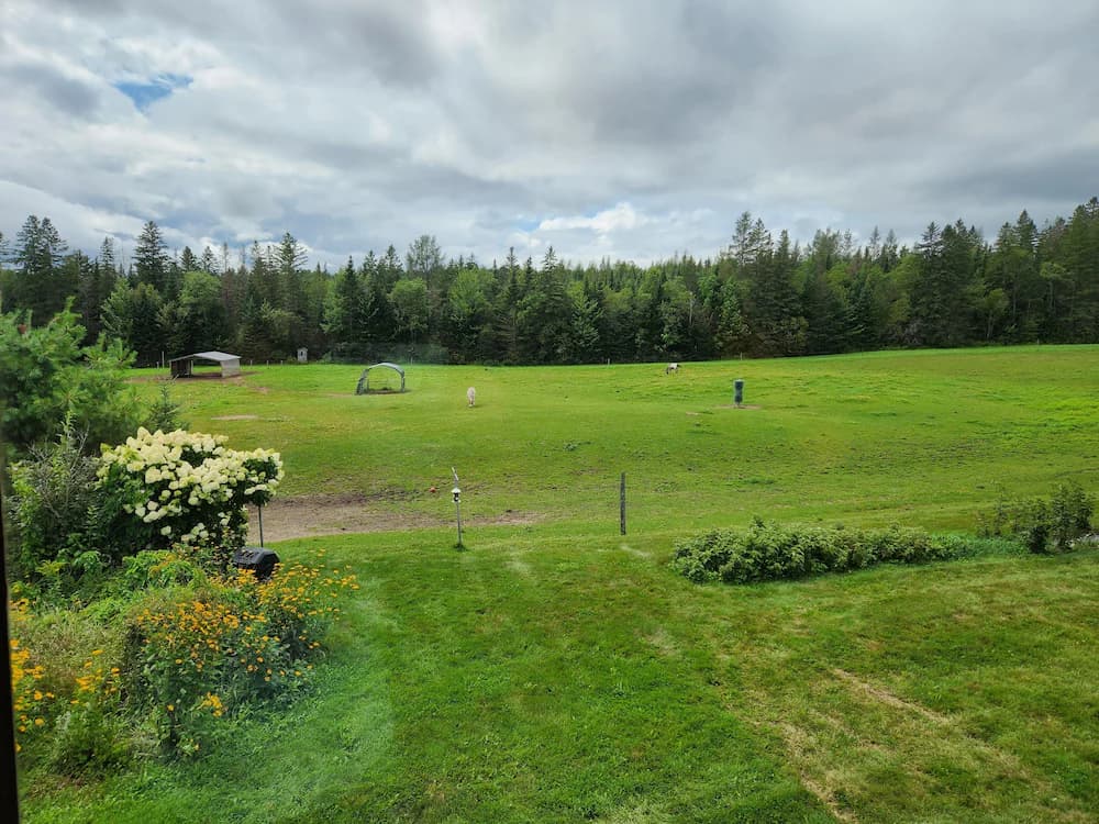 View from room
