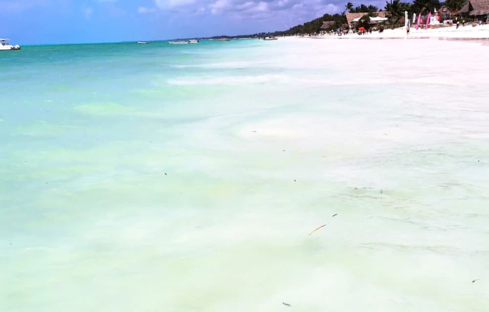 Beach