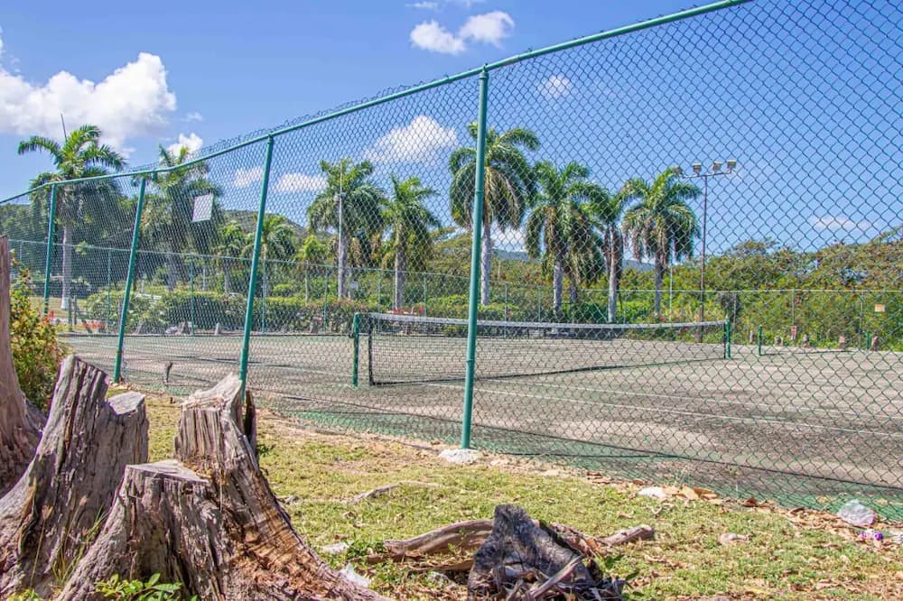 Tennis court