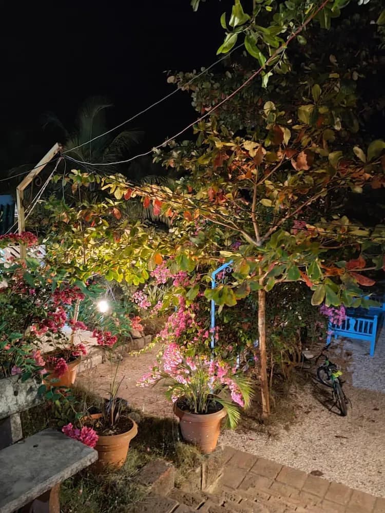 Garden view