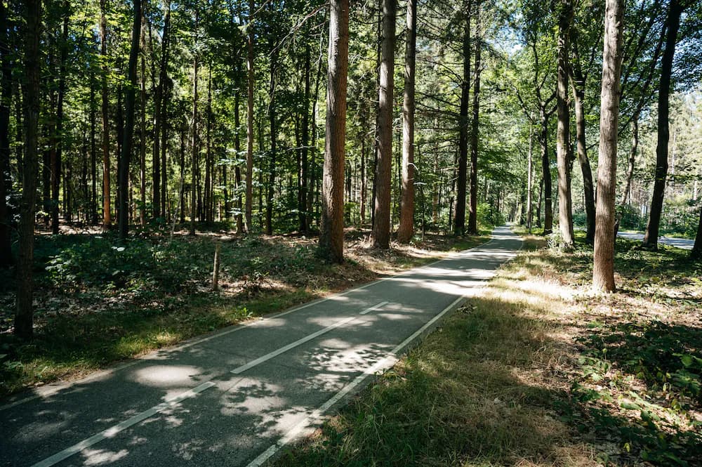 Bicycling