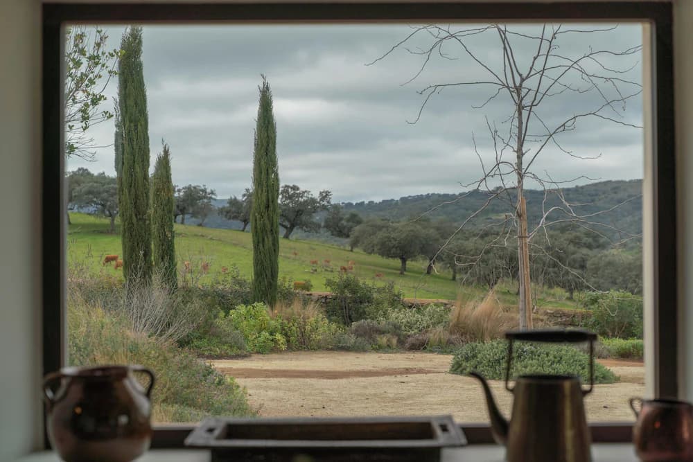 View from property