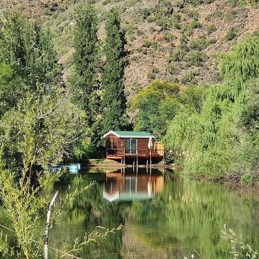 Lake view