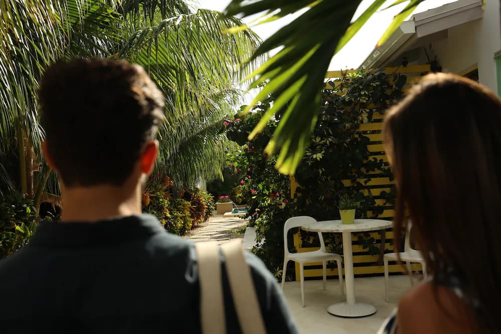 Garden