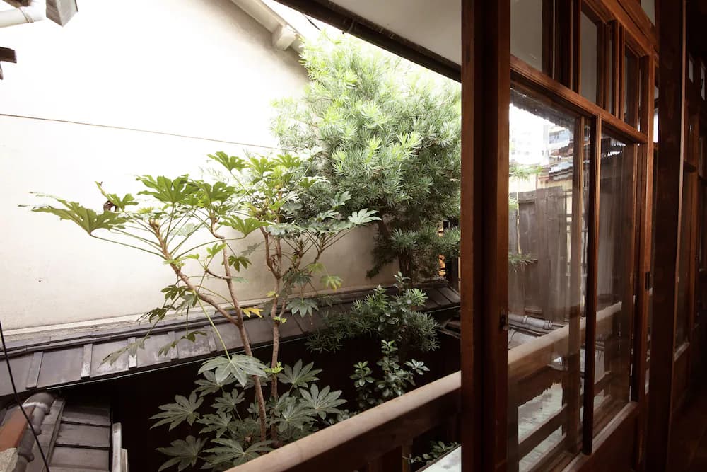 View from room
