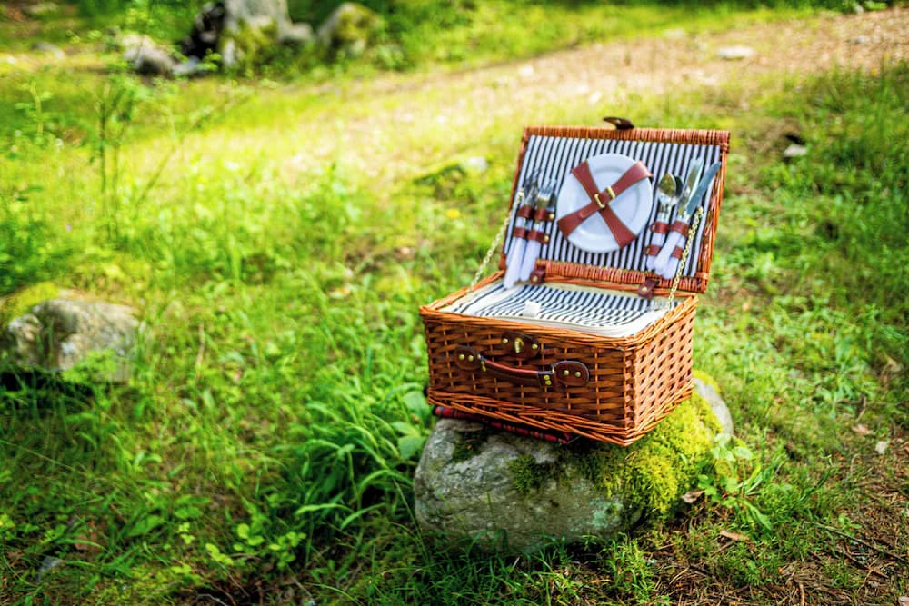 BBQ/picnic area