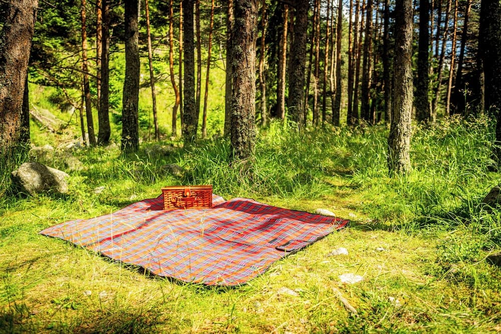 BBQ/picnic area