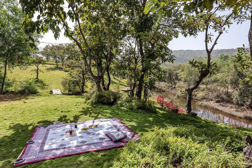 BBQ/picnic area