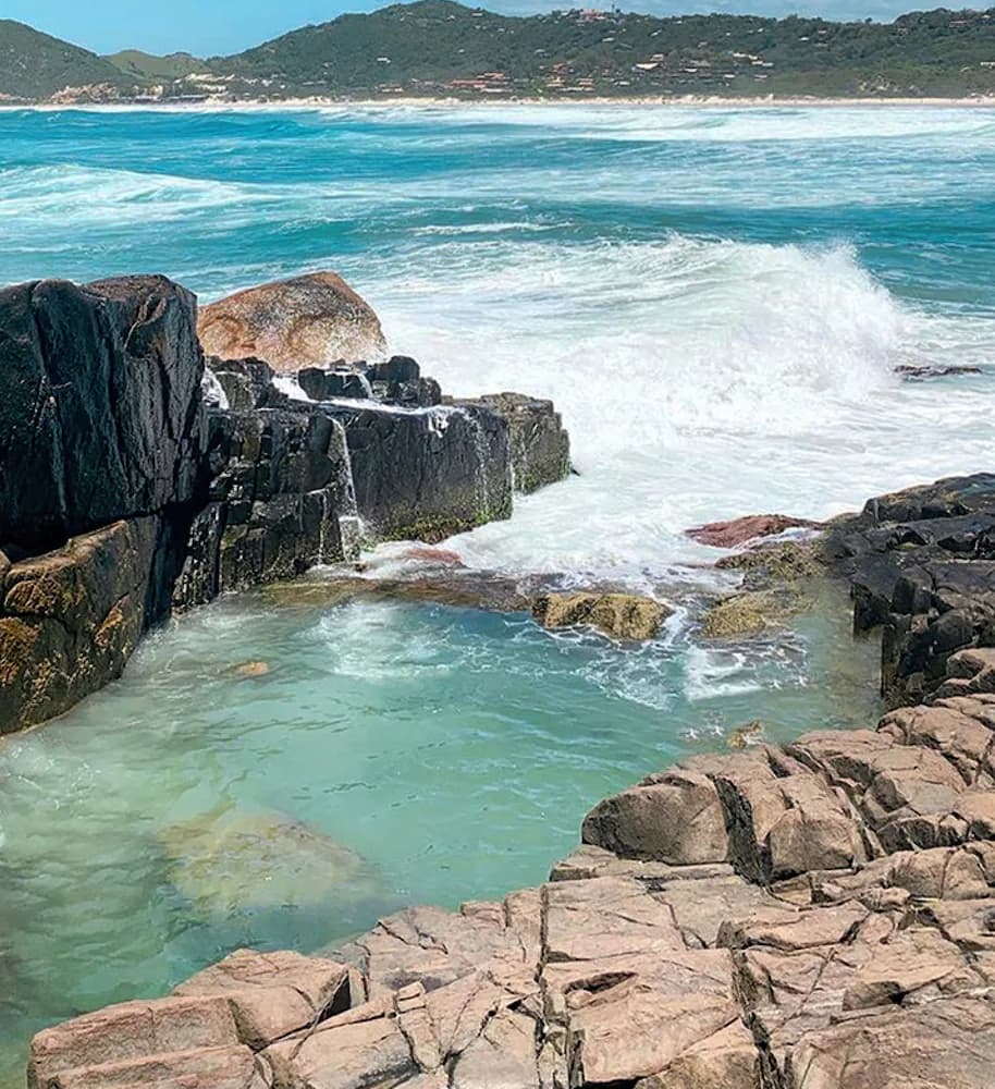 Natural pool